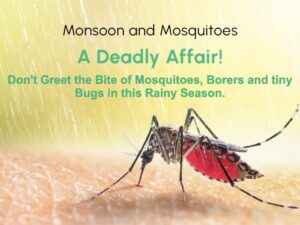 stay away from mosquitoes and deadly diseases by them